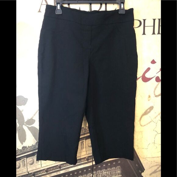 Nice capris pants by Kim Rogers in size 10 - Picture 1 of 2